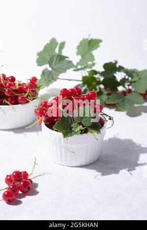 Groseilles rouges fraîchement cueillies dans un bol et baies d'été sur une assiette blanche au soleil, gros plan. Banque D'Images