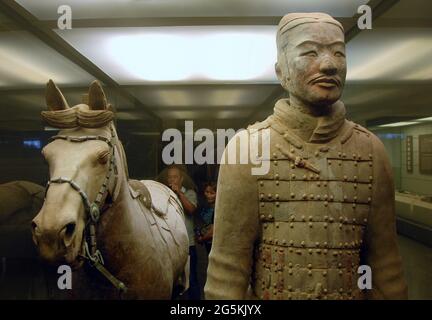 Soldats en terre cuite, Xian, province de Shaanxi, Chine. Détail d'un guerrier et d'un cheval dans le musée de l'Armée de terre cuite. Banque D'Images