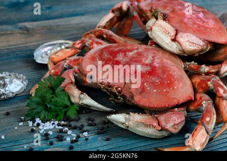 Crabe fraîchement cuit avec d'autres ingrédients en vue rapprochée pour le concept de fond de fruits de mer Banque D'Images