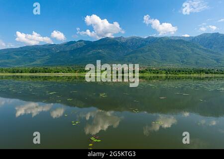 Lac de Kerkini plat, Macédoine, Grèce, Europe Banque D'Images