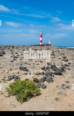 Phare d'El Toston, Fuerteventura, îles Canaries, Espagne, Europe Banque D'Images