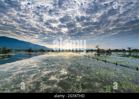 Lever de soleil sur le lac Kerkini, Macédoine, Grèce, Europe Banque D'Images