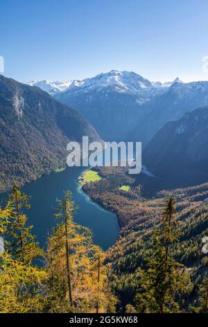 Vue panoramique sur la Königssee depuis l'Achenkanzel, la forêt automnale et les montagnes enneigées, le parc national de Berchtesgaden, Berchtesgadener Land, U Banque D'Images