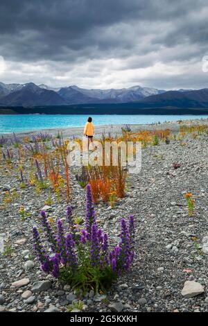 Guy à une plage au lac Tekapo, région de Canterbury, district de Mackenzie, Île du Sud, Nouvelle-Zélande, Océanie Banque D'Images