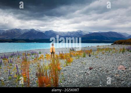 Guy à une plage au lac Tekapo, région de Canterbury, district de Mackenzie, Île du Sud, Nouvelle-Zélande, Océanie Banque D'Images