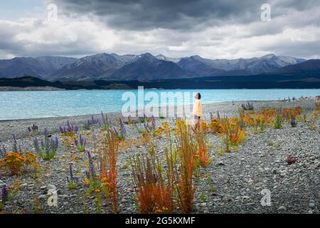 Guy à une plage au lac Tekapo, région de Canterbury, district de Mackenzie, Île du Sud, Nouvelle-Zélande, Océanie Banque D'Images