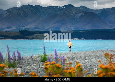 Guy à une plage au lac Tekapo, région de Canterbury, district de Mackenzie, Île du Sud, Nouvelle-Zélande, Océanie Banque D'Images