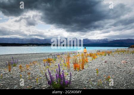 Guy à une plage au lac Tekapo, région de Canterbury, district de Mackenzie, Île du Sud, Nouvelle-Zélande, Océanie Banque D'Images