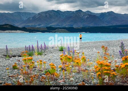 Guy à une plage au lac Tekapo, région de Canterbury, district de Mackenzie, Île du Sud, Nouvelle-Zélande, Océanie Banque D'Images