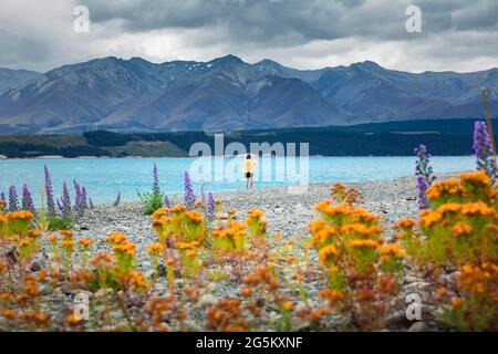 Guy à une plage au lac Tekapo, région de Canterbury, district de Mackenzie, Île du Sud, Nouvelle-Zélande, Océanie Banque D'Images