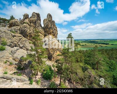 Rock formation Hamburger Wappen, réserve naturelle de Teufelsmauer, près de Blankenburg, montagnes du Harz, Saxe-Anhalt, Allemagne, Europe Banque D'Images