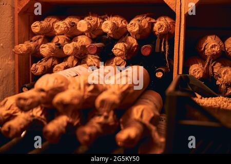 Cave de vinification tamisée avec bouteilles de vin ancien Banque D'Images