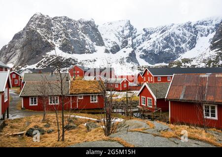 Village de pêcheurs de Reine, Moskensoya, îles Lofoten, Norvège, Skandinavia Banque D'Images