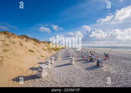 Chaises de plage à la plage ouest, Sylt, Île de Frise du Nord, Mer du Nord, Frise du Nord, Schleswig-Holstein, Allemagne, Europe Banque D'Images