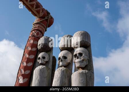 Crânes dans le sanctuaire de l'anneau Pömmelte, fossé de cercle préhistorique, Zackmünde, Pömmelte, Saxe-Anhalt, Allemagne, Europe Banque D'Images