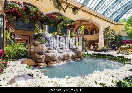 Las Vegas, 3 JUIN 2021 - thème d'été du conservatoire et des jardins botaniques du Bellagio Banque D'Images