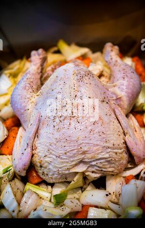 Poulet entier cru peau non cuite gros plan vue verticale sur la plaque de cuisson avec carottes de fenouil légumes et assaisonnement au poivre noir sur oiseau Banque D'Images