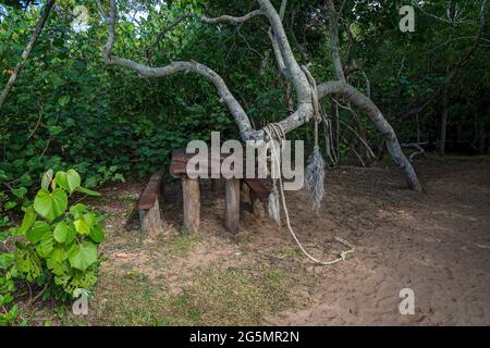 Table rustique et sièges sur la plage sous un tronc d'arbre torsadé accroché à la corde Banque D'Images