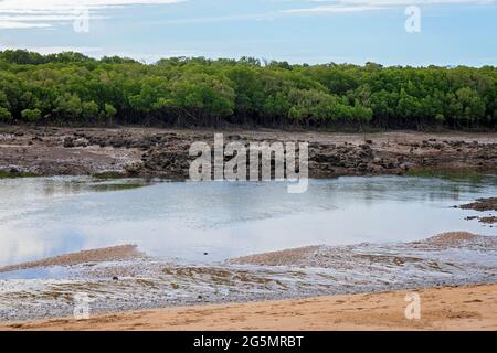 Ruisseau à marée basse avec de la boue et des bancs de sable visibles et un rivage du Bush Banque D'Images