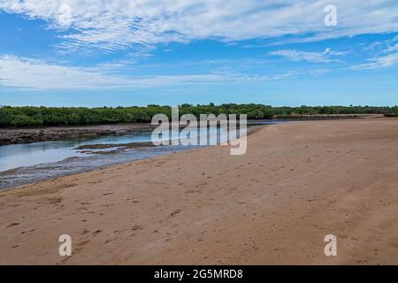 Ruisseau à marée basse avec de la boue et des bancs de sable visibles et un rivage de Bush sous un ciel bleu nuageux Banque D'Images