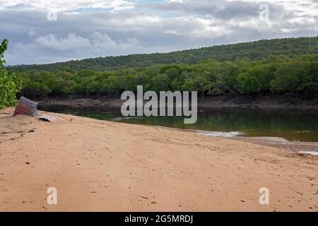 Ruisseau à marée basse avec de la boue et des bancs de sable visibles et un rivage de Bush sous un ciel nuageux Banque D'Images