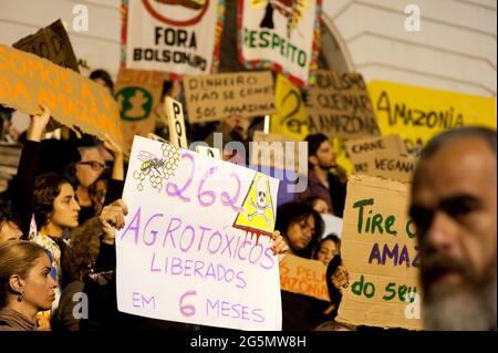 Rio de Janeiro – 23,2019 août : un manifestant tient un écriteau indiquant « 262 pesticides libérés en 6 mois » lors d'une manifestation contre les incendies en Amazonie Banque D'Images