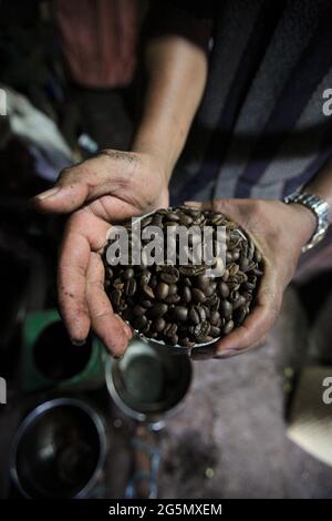 Grains de café arabica torréfiés à un fabricant de café Toraja à Rantepao, North Toraja, South Sulawesi, Indonésie. Banque D'Images