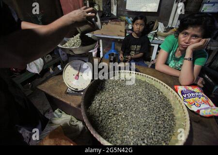 Grains de café non torréfiés à un fournisseur de café Toraja à Rantepao, North Toraja, South Sulawesi, Indonésie. Banque D'Images