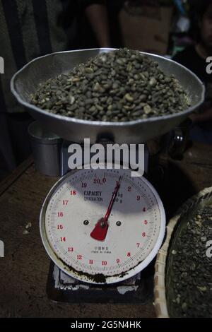 Grains de café à l'échelle d'un fournisseur de café Toraja à Rantepao, North Toraja, South Sulawesi, Indonésie. Banque D'Images