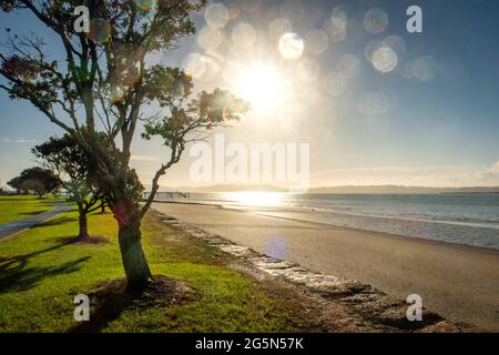 Le soleil se lève au-dessus de Shelly Beach, dans le port de Kaipara, en Nouvelle-Zélande, lors d'une journée d'hiver claire. Banque D'Images