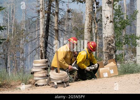 Les pompiers assemblent des connecteurs en y pour brancher plusieurs tuyaux d'incendie afin de combattre un incendie de forêt dans les montagnes de la Sal dans l'Utah. Banque D'Images