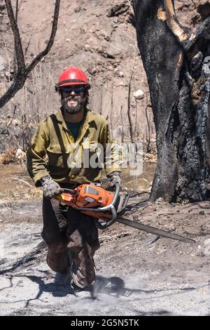 Une sawyer sur une équipe de lutte contre les incendies en plein air traverse la cendre d'un feu de forêt avec sa tronçonneuse. Moab, Utah. Banque D'Images