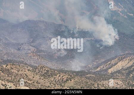 Un hélicoptère Sikorsky S-61 de lutte contre les incendies revient après avoir laissé tomber de l'eau sur un feu de forêt dans les montagnes de la Sal, dans l'Utah. Banque D'Images