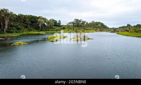 Pélicans et cormorans la vie des oiseaux indigènes sur une petite île de roche au milieu d'un cours d'eau en bas de la rivière d'un déversoir Banque D'Images