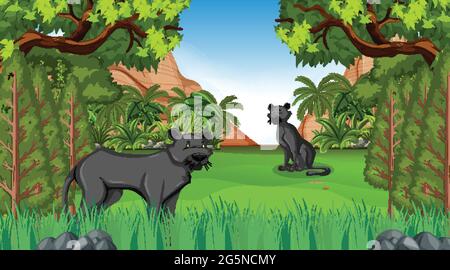 Panthère noire dans la scène de forêt avec beaucoup d'arbres illustration Illustration de Vecteur
