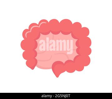 Intestin grêle et gros intestin. Organe interne du corps humain du tractus gastro-intestinal. Intestin abstrait. Illustration vectorielle isolée sur blanc Illustration de Vecteur