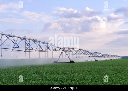 Système d'irrigation automatisé Banque D'Images