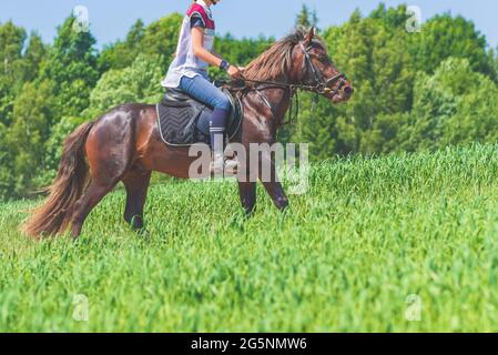 Concurrent fille équitation cheval dans le champ d'été pré.Jeune cavalier gallerps par le jour ensoleillé d'été.Rivalry concept. Banque D'Images