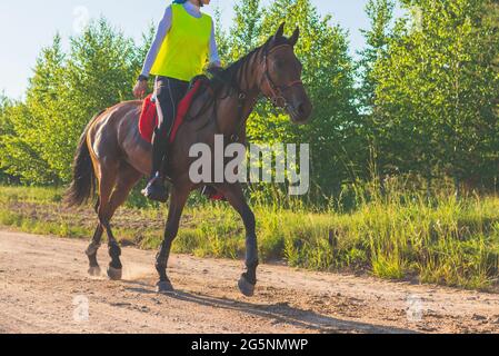 Concurrent fille équitation cheval dans le champ d'été pré.Jeune cavalier gallerps par le jour ensoleillé d'été.Rivalry concept. Banque D'Images