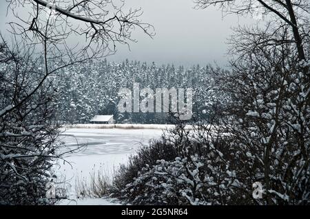 Magnifique paysage qui capture la saison d'hiver fascinante à Abant Turquie. Les neiges qui couvrent les arbres et les routes laissent une belle vue. Banque D'Images