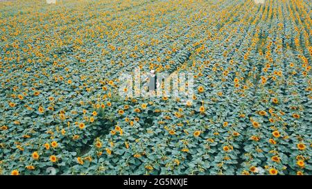 29 juin 2021, Binzhou, Binzhou, Chine : 28 juin, 2021, Binzhou, Shandong. Dans le village de Chujia, Binzhou City, plus de 100 hectares de tournesols coplantés dans le village sont ouverts au soleil, attirant un grand nombre de touristes à venir voir les fleurs. (Image crédit: © SIPA Asia via ZUMA Wire) Banque D'Images