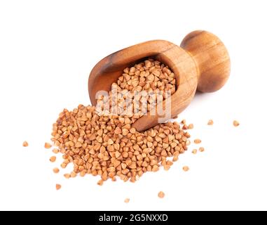 Grains de sarrasin rôtis dans une cuillère en bois, isolés sur fond blanc. Gruaux de sarrasin brun sec. Banque D'Images