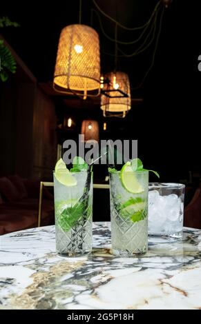 Queue de coktail Gin tonique ou Mojito en verre avec menthe, glace, chaux sur le fond des feuilles tropicales. Banque D'Images