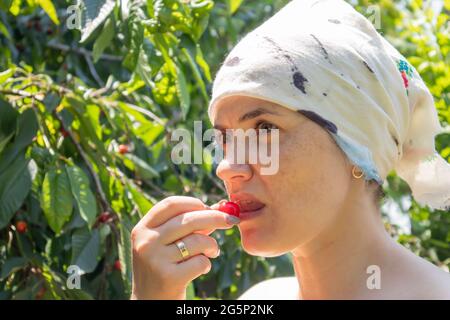 Une belle jeune femme dans un jardin à l'extérieur de la ville cueille et mord une cerise près d'un arbre lors d'une belle journée d'été. Portrait d'une fille qui mange des cerises Banque D'Images