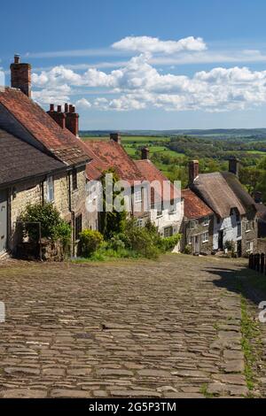 Allée pavée et chalets sur Gold Hill, Shaftesbury, Dorset, Angleterre, Royaume-Uni, Europe Banque D'Images