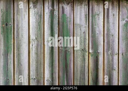 Arrière-plan de texture de planche de bois ancienne avec des traces de peinture verte Banque D'Images