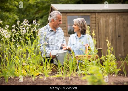 Couple senior dans le jardin à la maison travaillant sur les lits de légumes élevés ensemble Banque D'Images