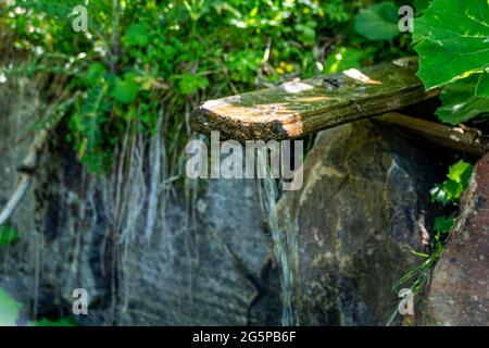 Fontaine d'eau potable en bois avec eau douce de source dans une forêt dans les Alpes de Salzbourg en Autriche Banque D'Images