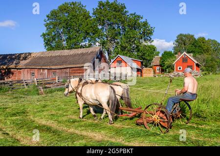 Vue rurale avec les chevaux de brouillons en travaillant avec le foin Banque D'Images