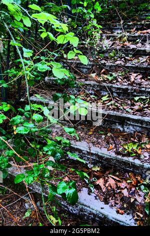 Escaliers envahis par une végétation luxuriante, photographie conceptuelle, France Banque D'Images